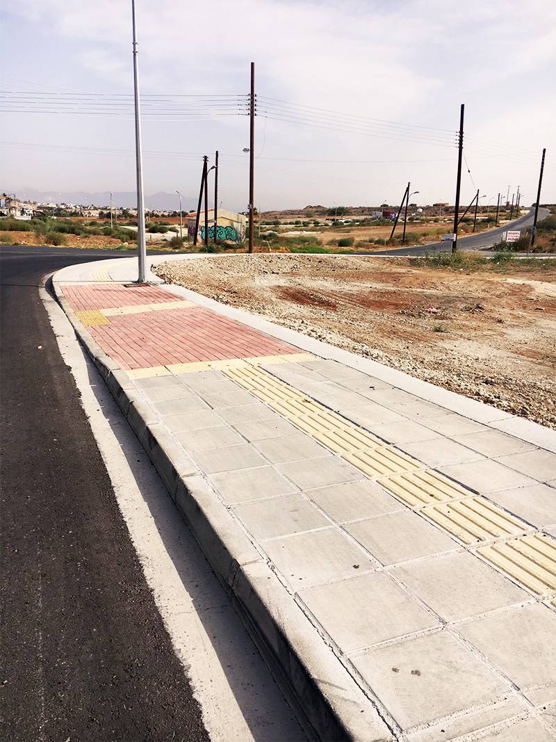 Aleshiam Real Estate Construction  Co Ltd